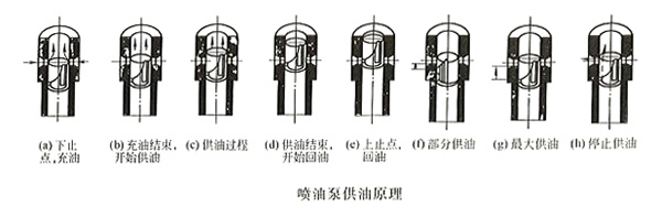 柴油发电机喷油泵供油原理